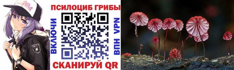 Псилоцибиновые грибы мухоморы  hydra ТОР  Рошаль 