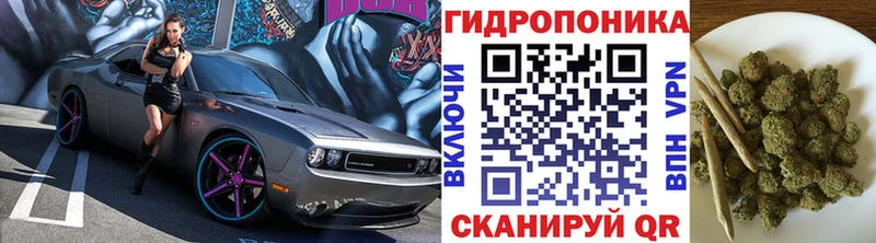 закладки  Рошаль  Шишки марихуана THC 21% 